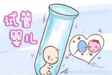 上海三代供卵试管价格-上海三代供卵试管价格大揭秘
