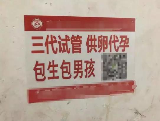 包生男孩地址-包生男孩地址:一个特殊的地方