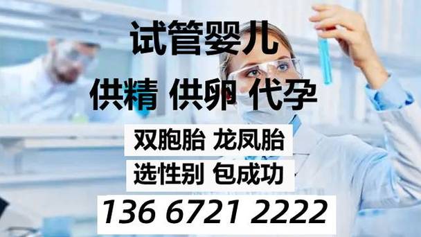 包成功试管代怀(成功试管代怀:包生育服务全攻略)