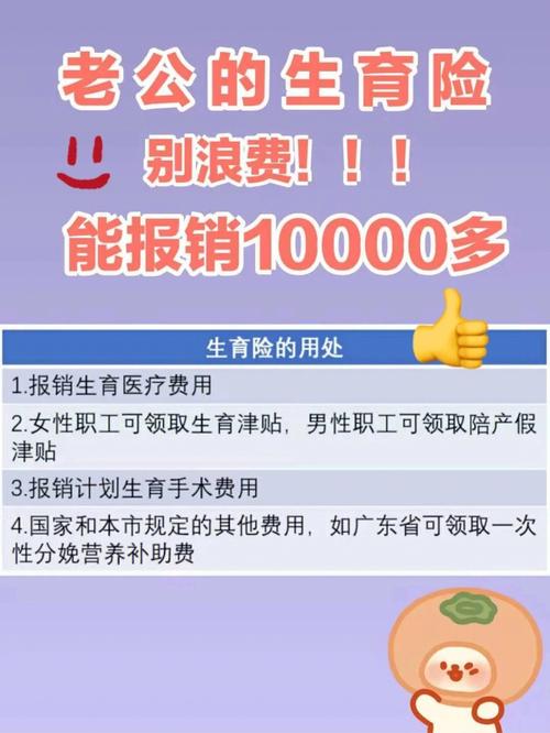 包生儿子多少费用【包生儿子多少费用?生育医疗费用一览】